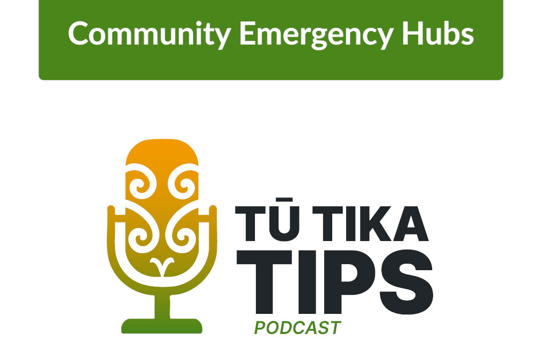 How Community Emergency Hubs Work