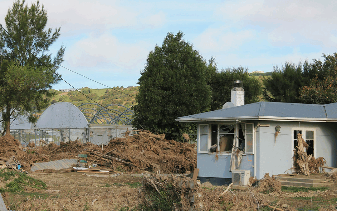 5 Simple Steps Every Papakura Household Needs