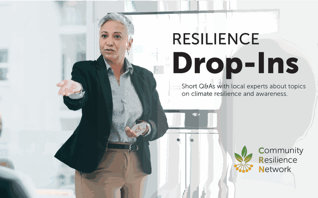 Ask Papakura: Drop-in Q&A schedule (Oct–Dec 2025)