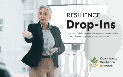 Ask Papakura: Drop-in Q&A schedule (Oct–Dec 2025)