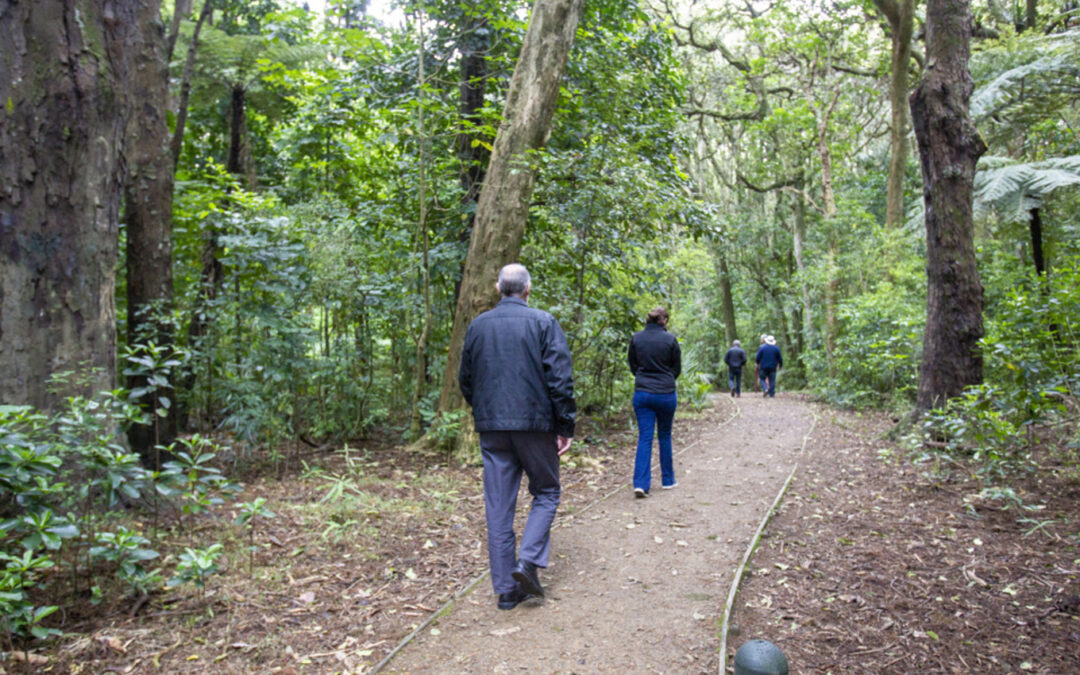 Q&A Drop-In Week 8: Turning Papakura greener and more leafy