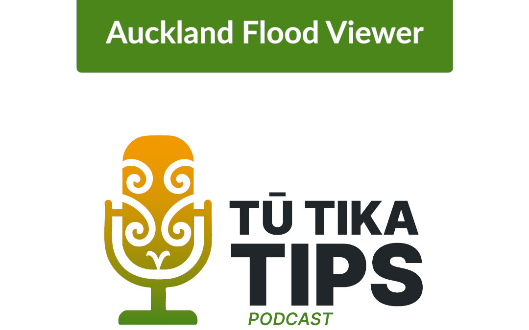 Auckland Flood Viewer