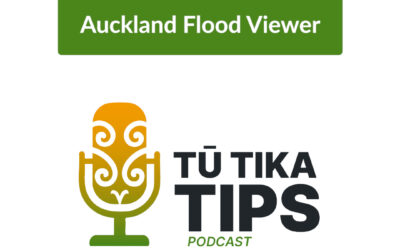Auckland Flood Viewer