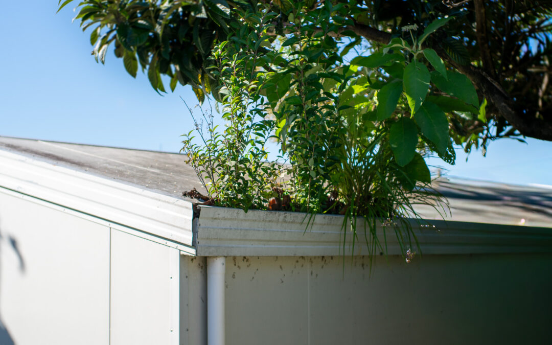 The Flood Starts at Home: Why Property Maintenance Matters More Than You Think