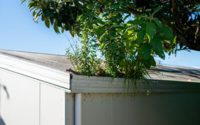 The Flood Starts at Home: Why Property Maintenance Matters More Than You Think